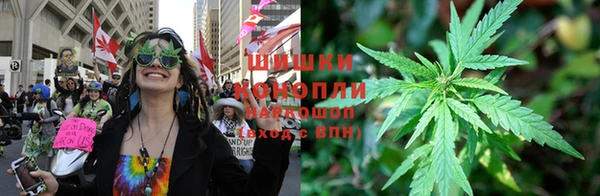 стафф Покачи