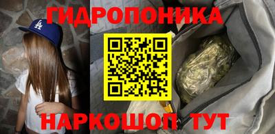 ECSTASY Бийск