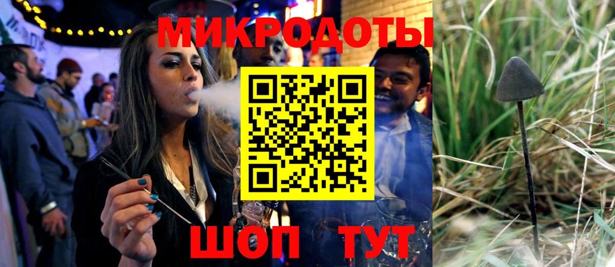 Новосибирск  Галлюциногенные грибы Psilocybine cubensis  Вход с VPN 