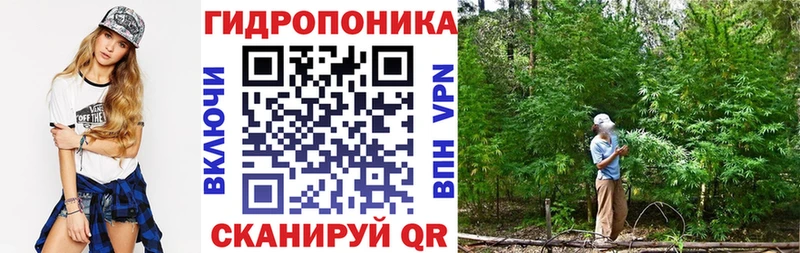 Марихуана Ganja  купить   OMG рабочий сайт  Новосибирск 