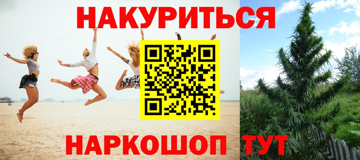 Канабис конопля Новосибирск